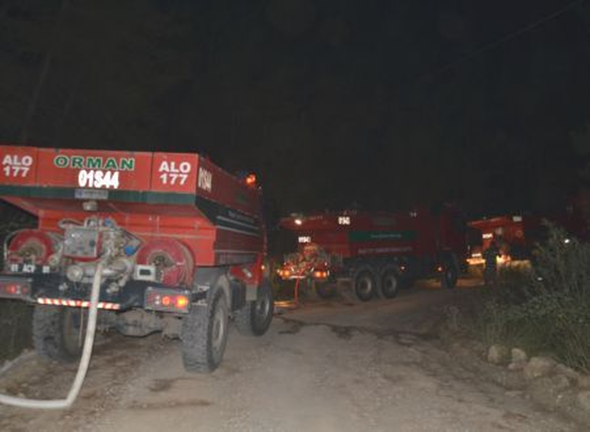 Kozan\'da Orman Yangını