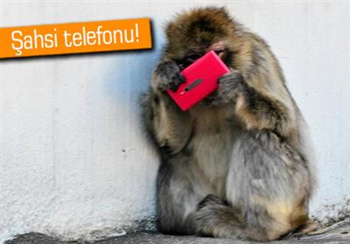 Maymunların Gözünden Nokia Lumia 800!
