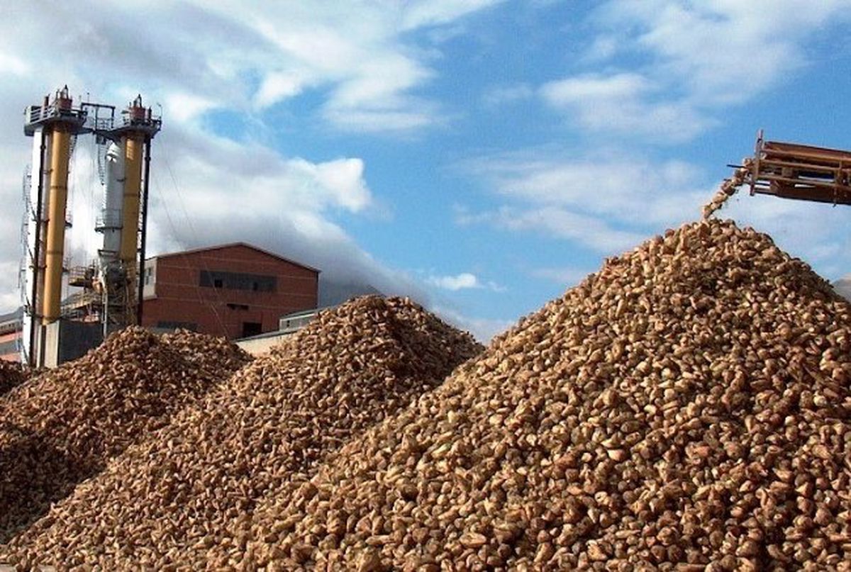 Pancar Çiftçisine Sulama Avansı