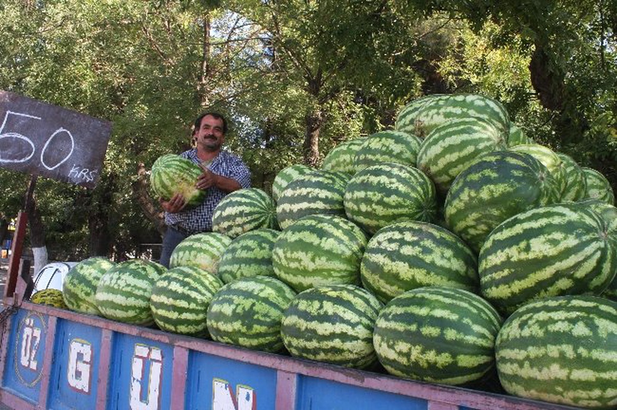 Yerlisi Çıkınca Karpuz Fiyatı Yarıya Düştü