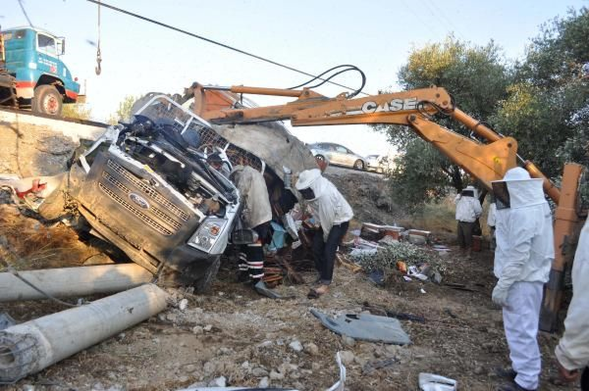 Arı Yüklü Kamyonet Kaza Yaptı: 2 Ölü, 1 Yaralı