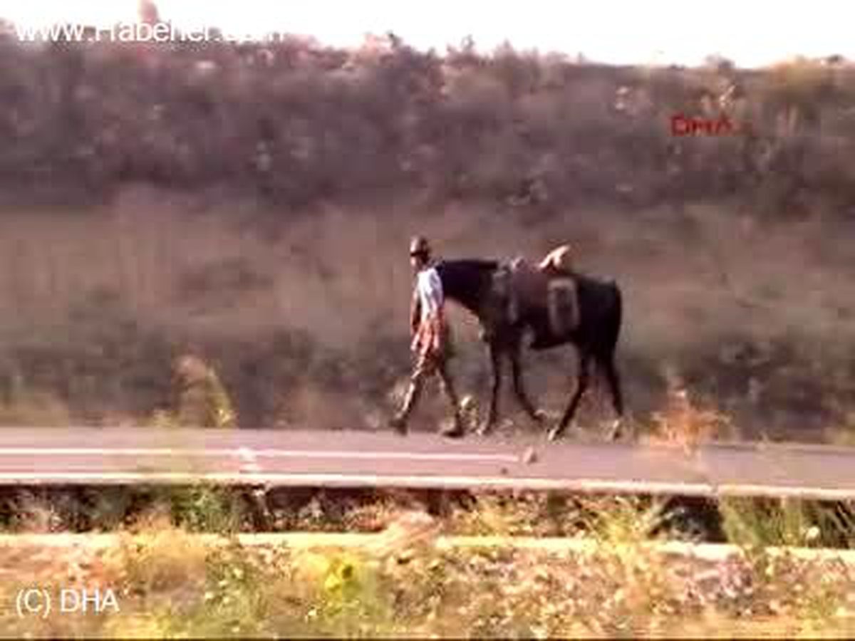 At Sırtında Yolculuk