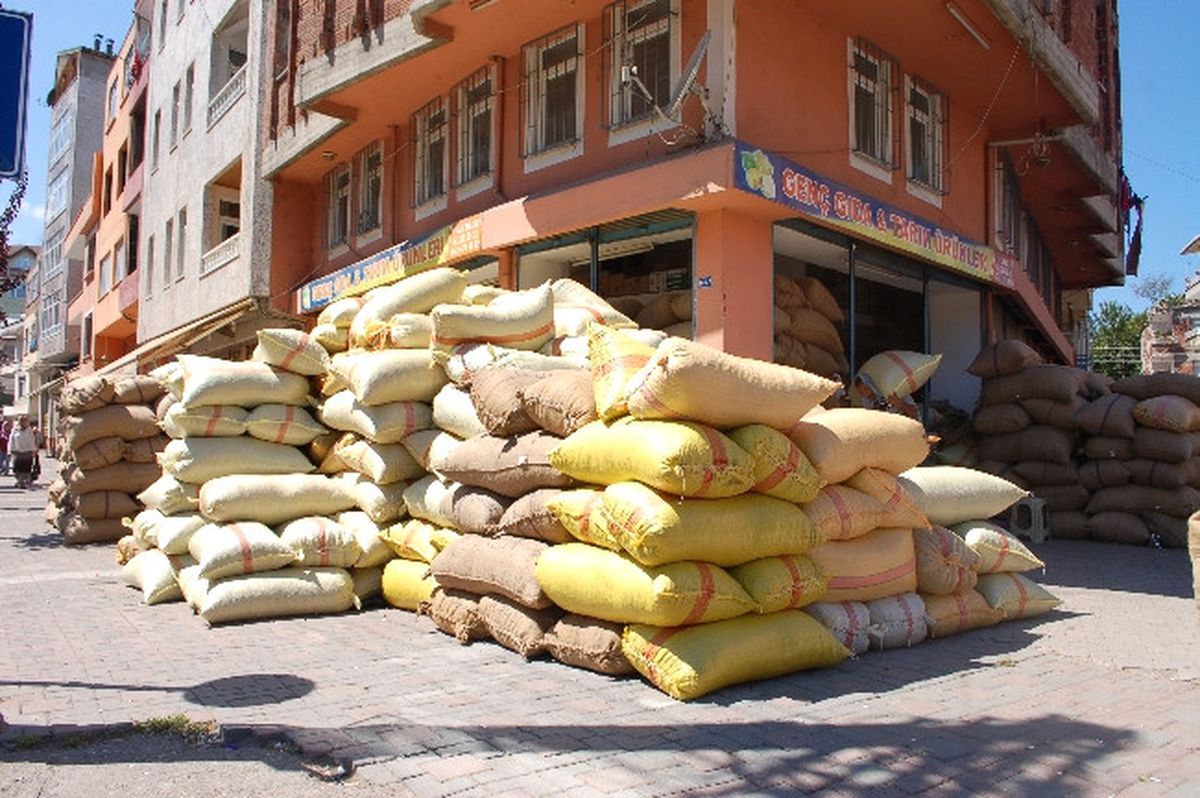 Fındıkta Şok Düşüş