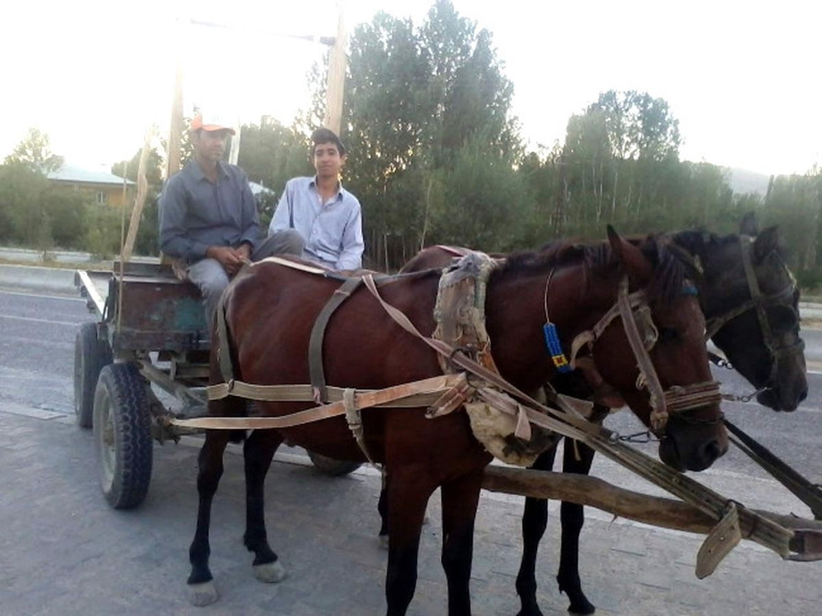 İlçenin Son At Arabacısı
