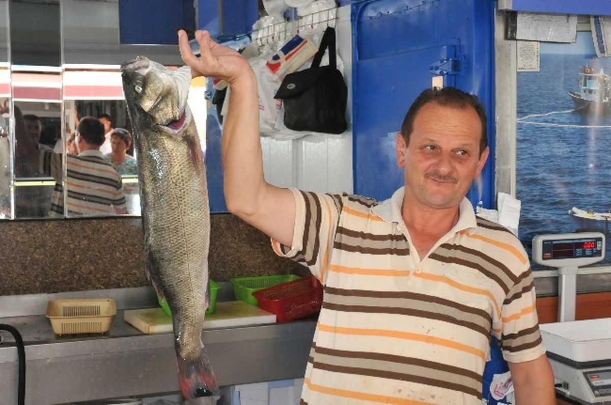 Karadeniz\'de Levrek Balığı