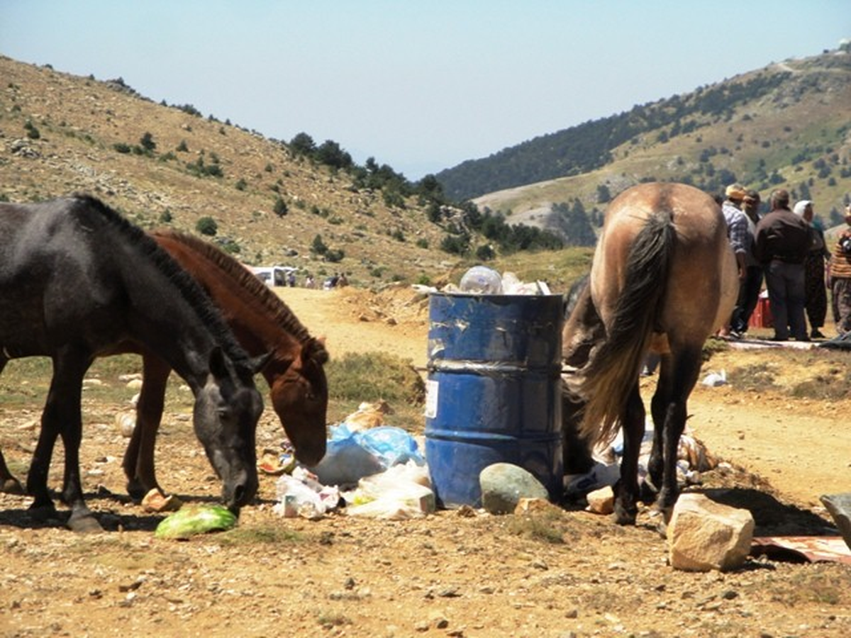 Kazdağları Milli Parkı\'nda Çöp Rezaleti