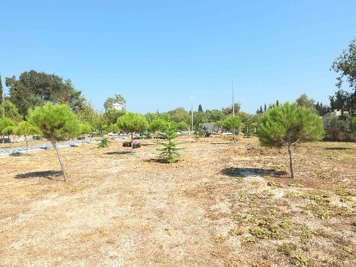 Manavgat Şehitler Ormanı 30 Ağustos\'ta Açılacak