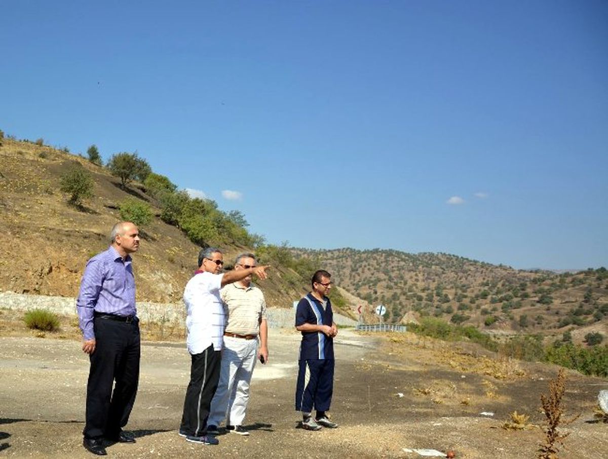 Manisa\'da Zeytincilik Hızla Gelişiyor