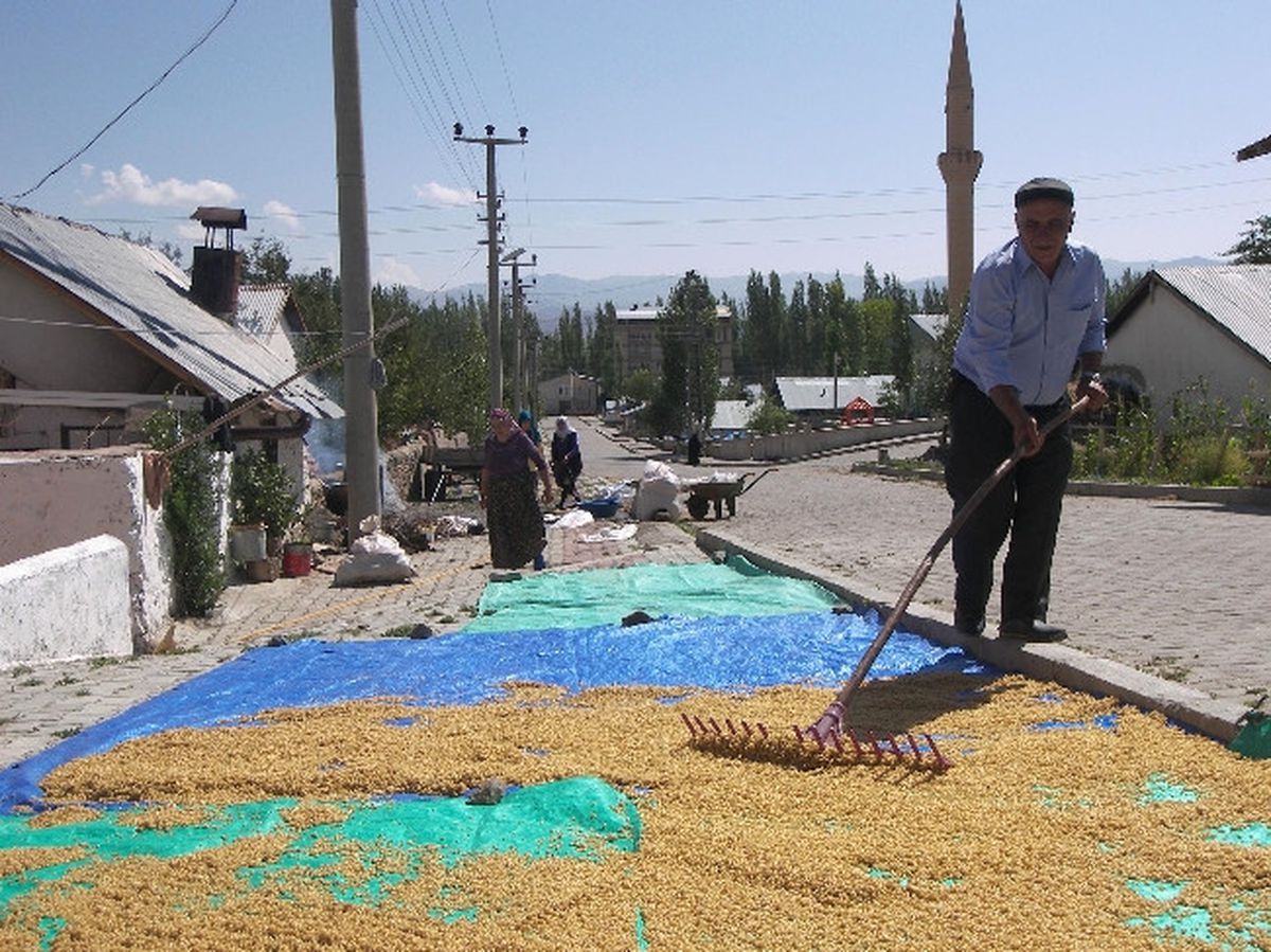 Narman\'da Yüzyıllardır Devam Eden Bulgur Kaynatma Geleneği