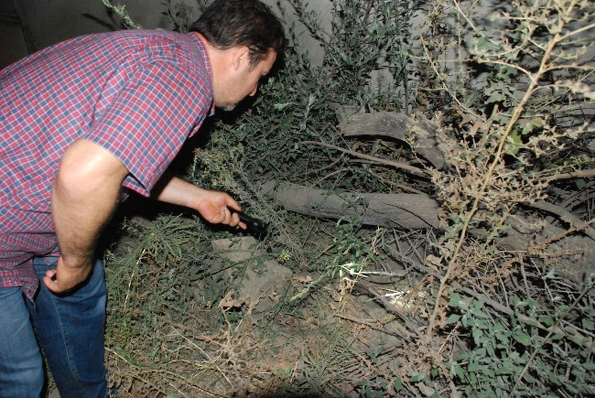 Polisin Kovaladığı Araçtan Vurulmuş Bir Kişi Çıktı