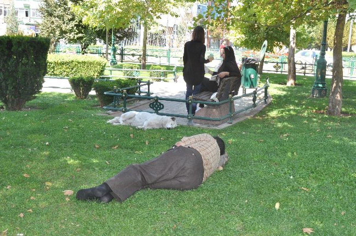 Sıcaklar Bunalttı, Gölge Bulan Uyudu