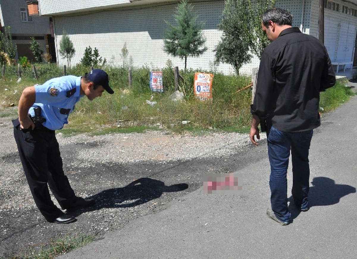 Sokağa Atılan İnek Yavrusu, Polisi Alarma Geçirdi
