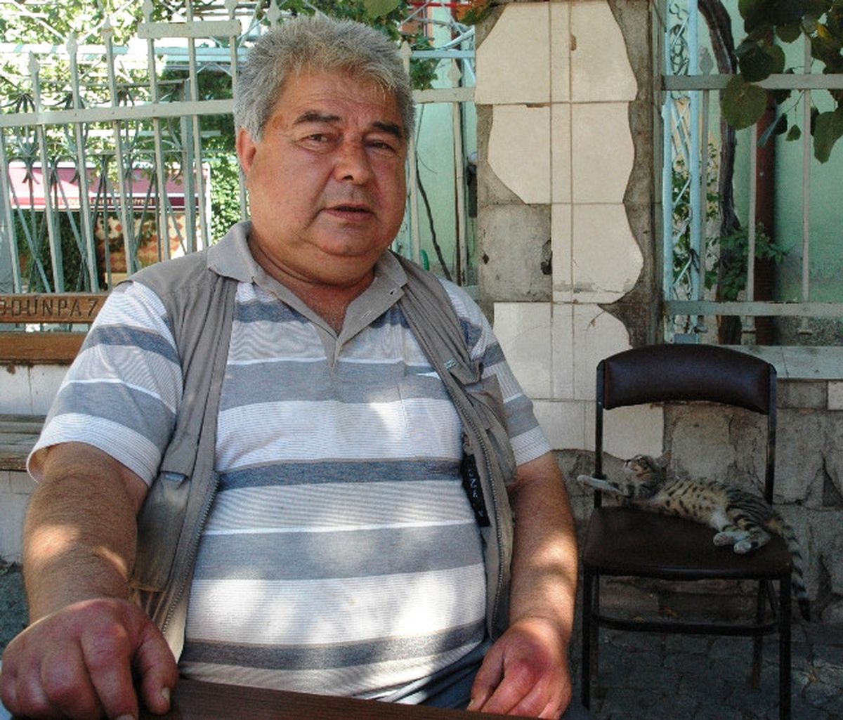 Sokak Kedileri Ona Emanet