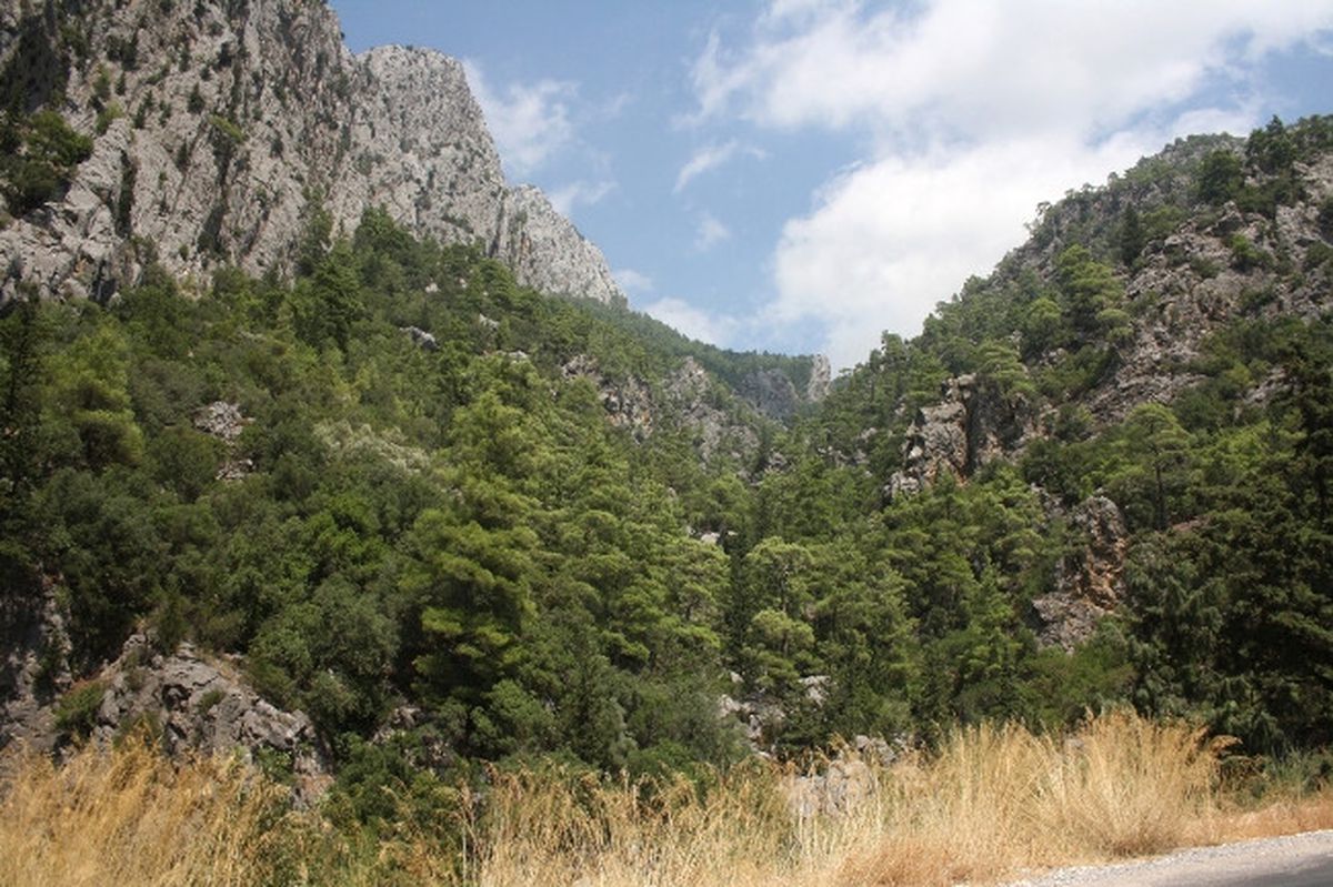 Antalya\'da Yaşlı Adam Dağda Ölü Bulundu