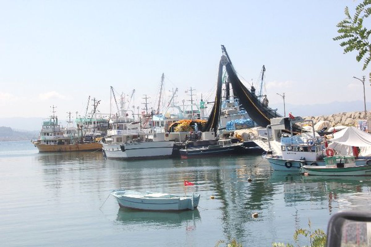 Balık Sezonu Başlıyor