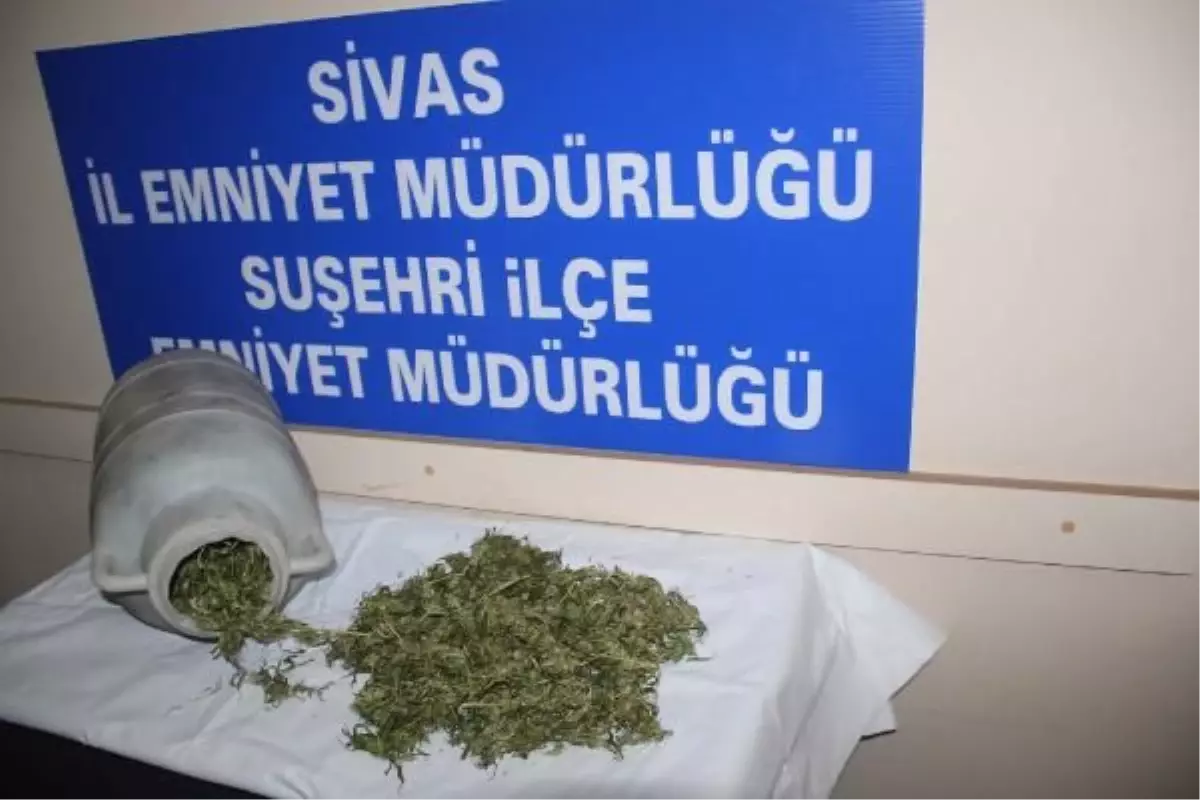 Sivas\'ta 1,5 Kilo Hint Keneviri Ele Geçirildi