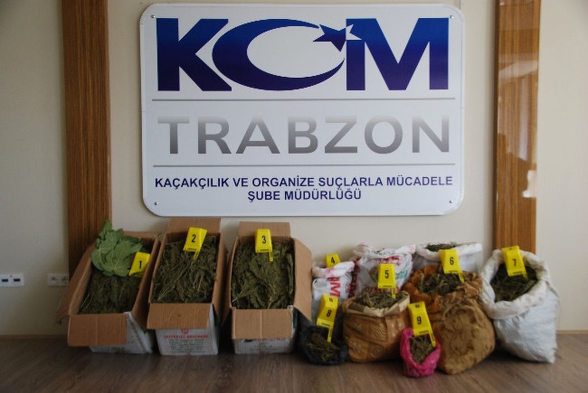 Trabzon\'da Uyuşturucu Operasyonu