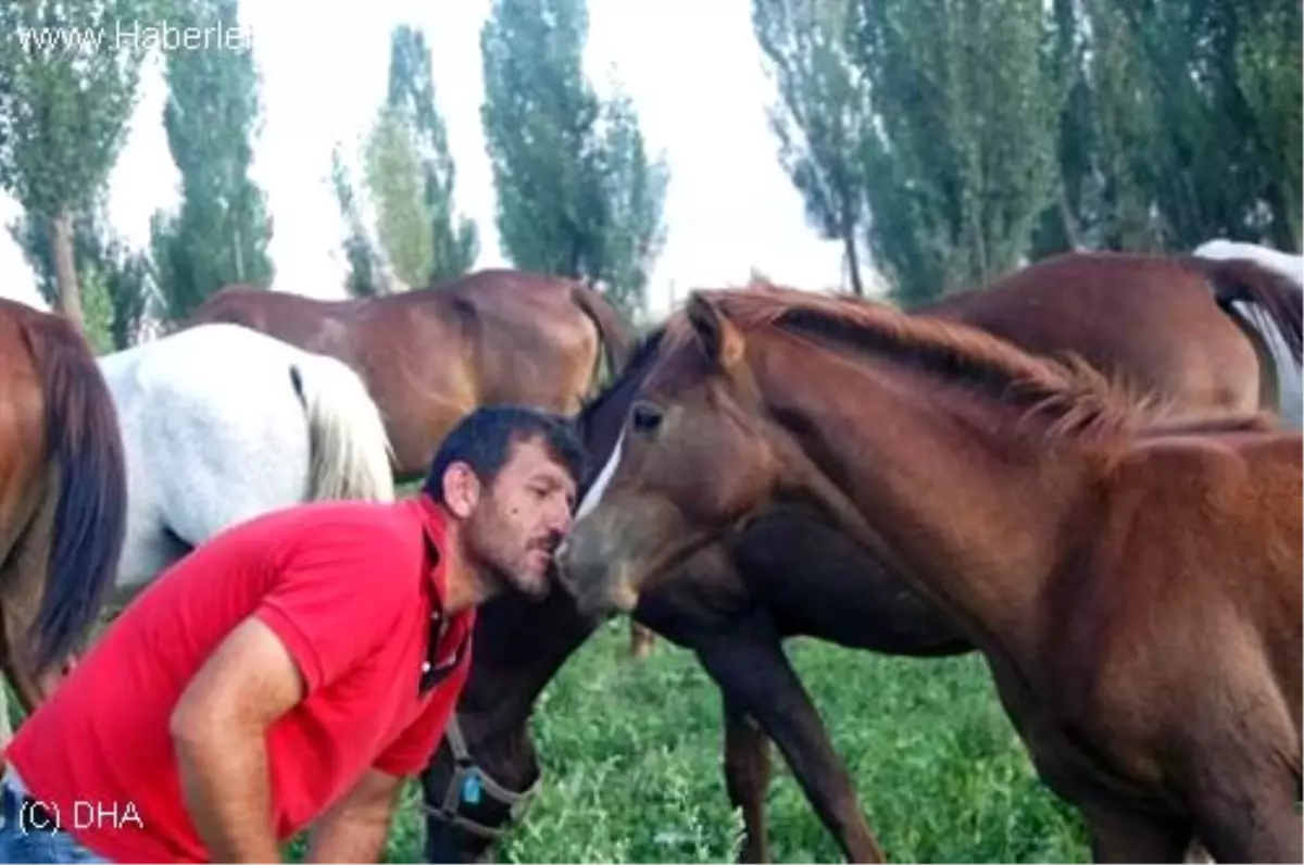 Atları Öpmeden İşe Başlamıyor