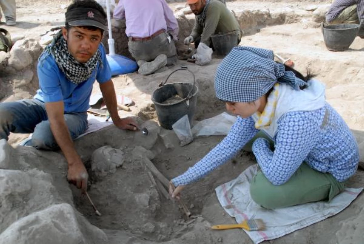Hasankeyf\'te Neolitik Çağa Ait Kemikler Bulundu