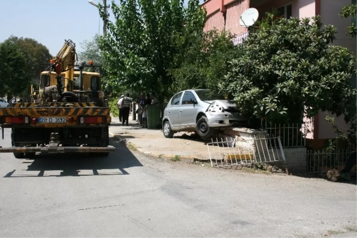 Hızını Alamayan Araç, Ağacı Yerinden Söktü