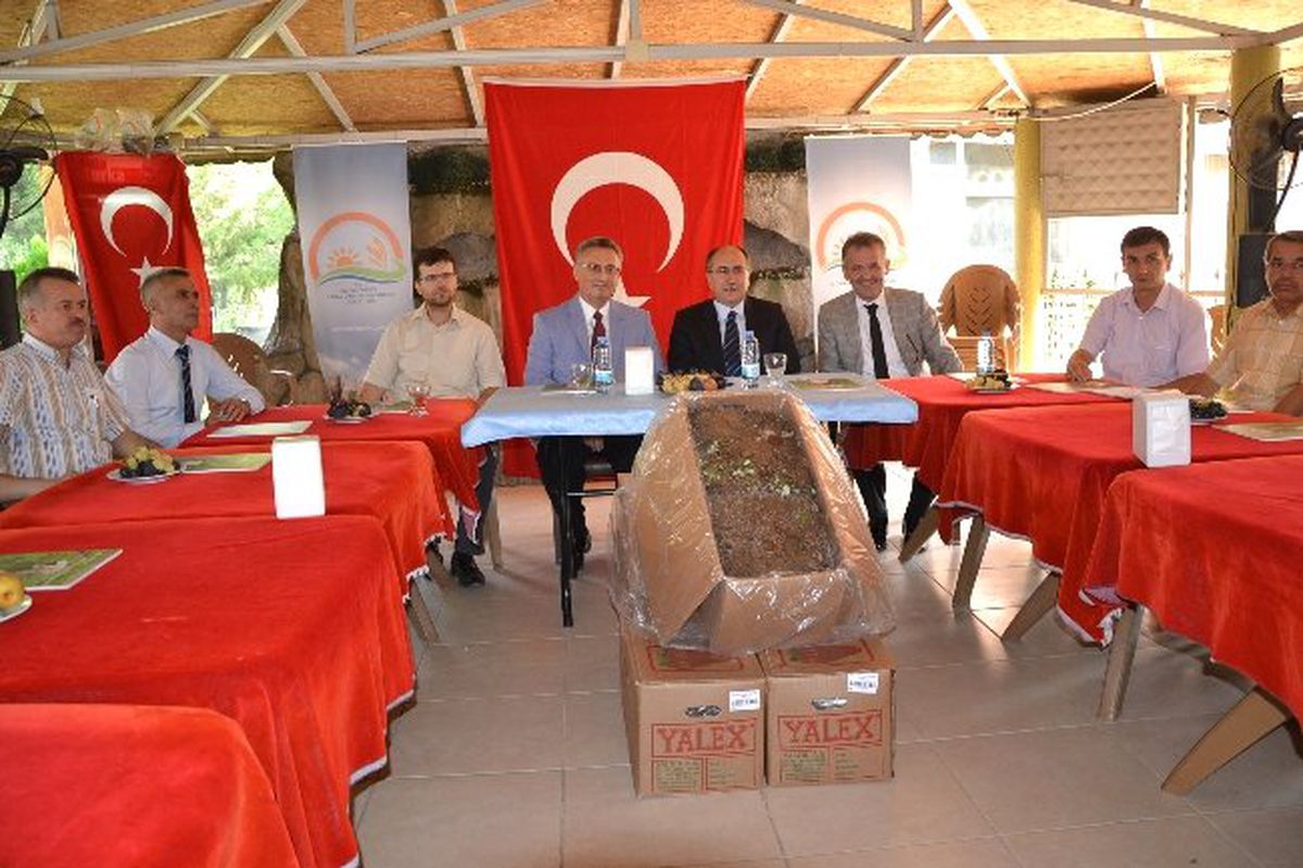 Manisa\'da 222 Bin Adet Çilek Fidesi Dağıtıldı
