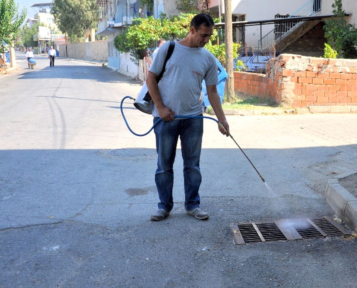 Nazilli\'de İlaçlamalar Aralıksız Sürüyor