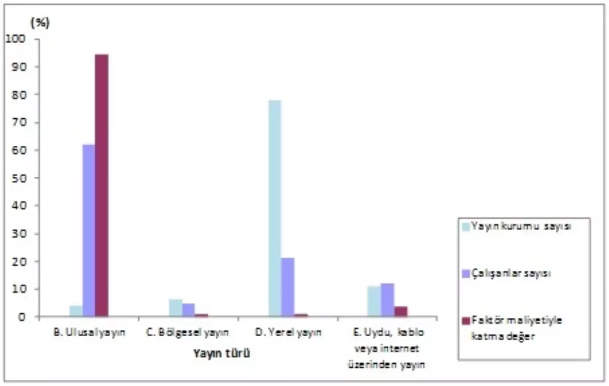 Radyo ve Televizyon Kurum İstatistikleri