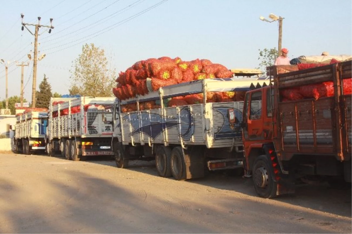 Saruhanlı\'da Biber Üretiminde Fiyat Sıkıntısı