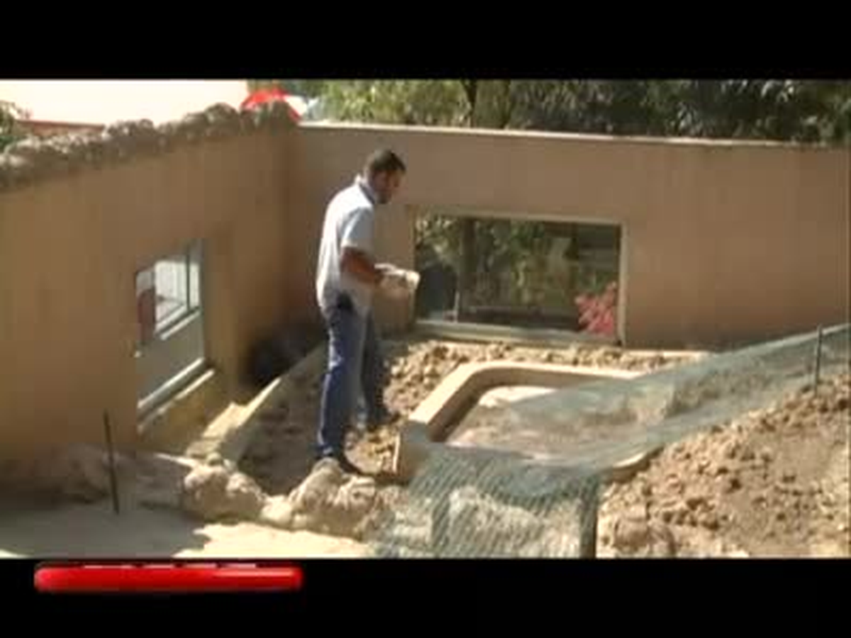 Sıcaktan Bunalan Havyanları Serinleten Yöntemler