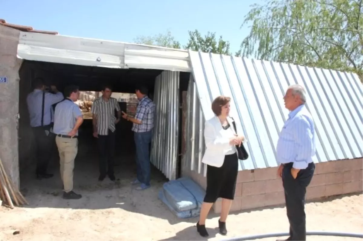 Avrupa Şap Komisyonu Heyeti Nevşehir\'de