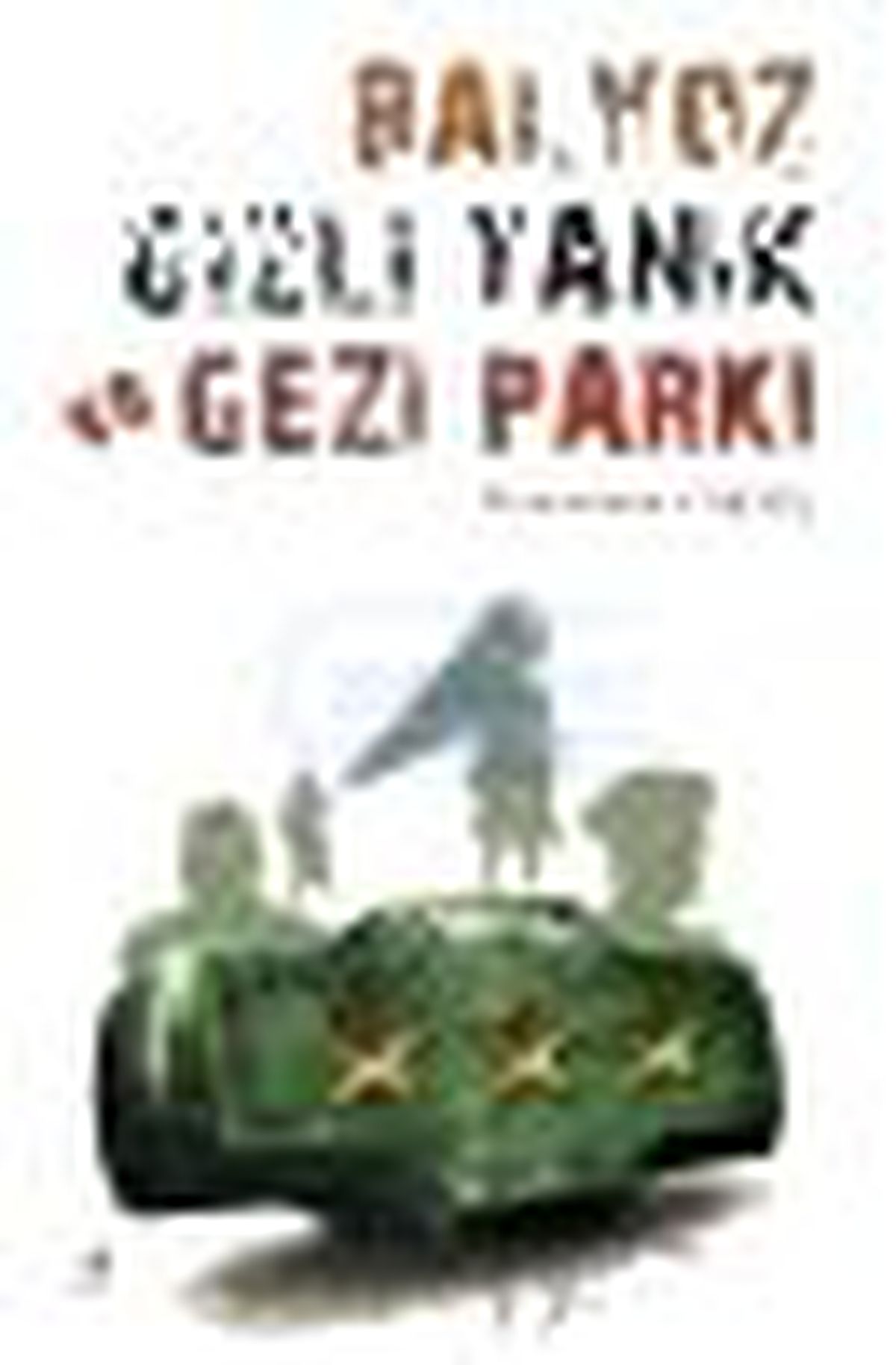 Balyoz, Gizli Tanık ve Gezi Parkı Kitabı