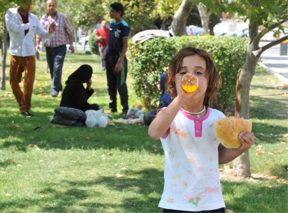 İç Savaştan Kaçan Suriyeliler, Konya\'da Parklarda Kalıyor