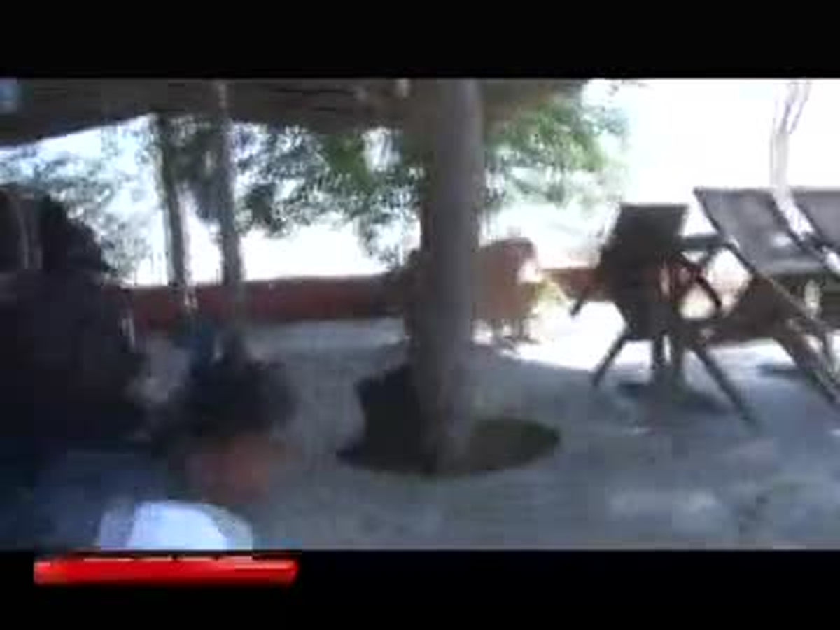 Rasulayn\'da Çatışmalar Şiddetlendi
