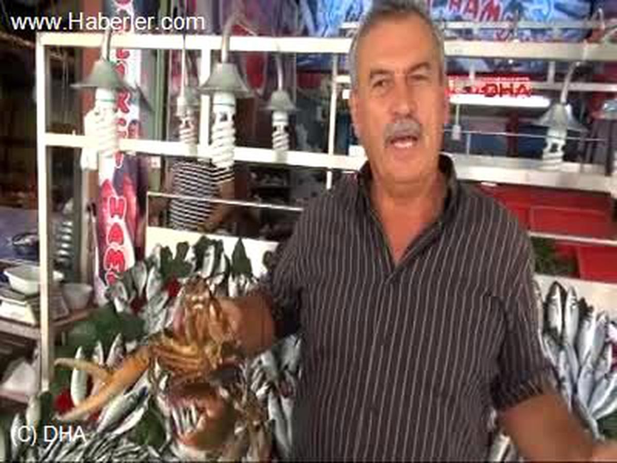 Balıkçılara Poyraz Engeli