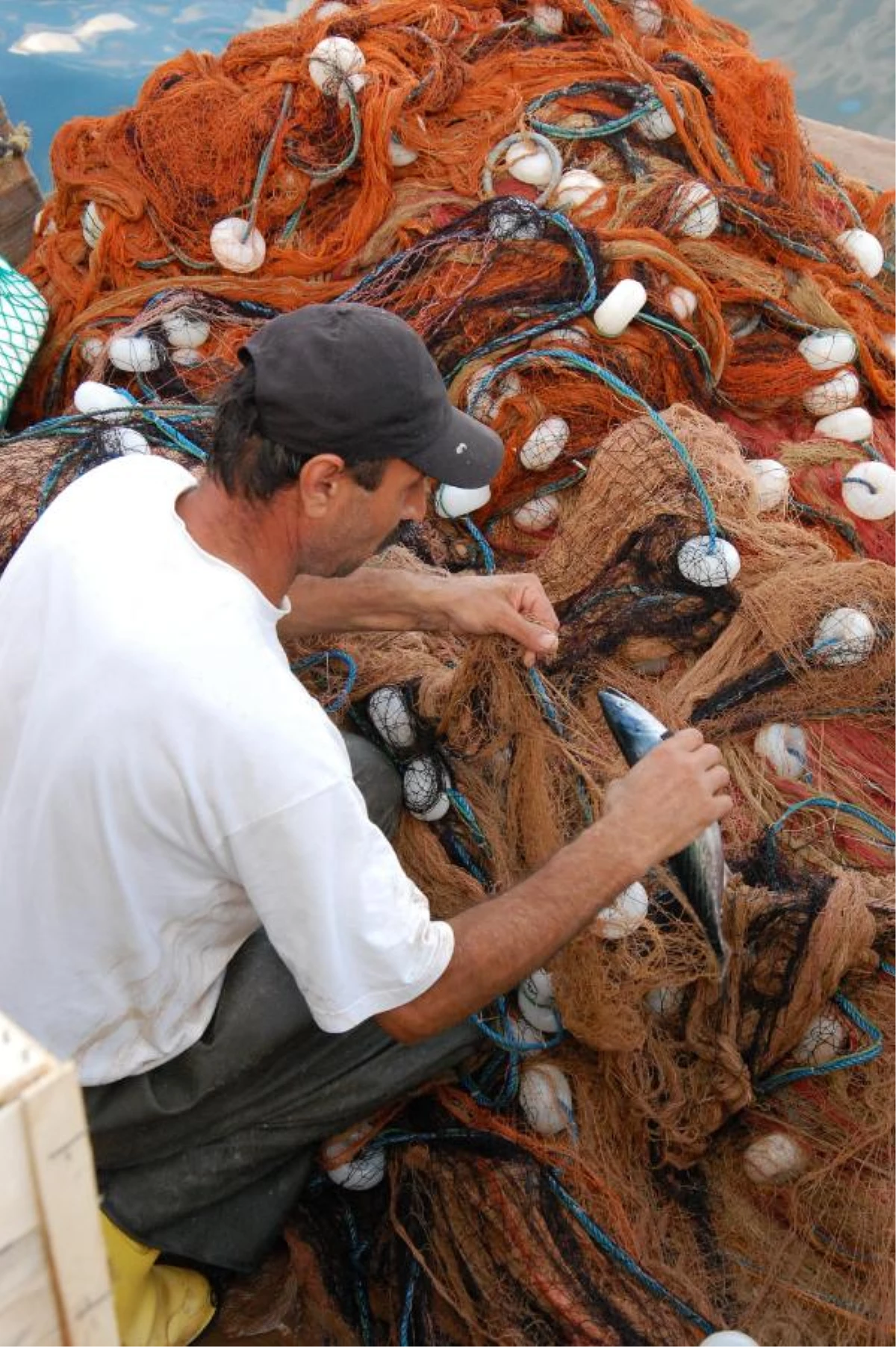 Bandırma\'da Balık Sezonu Kurban Kesilerek Açıldı