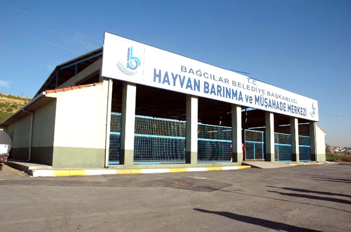 5 Yılda 773 Köpek Sahiplendirildi