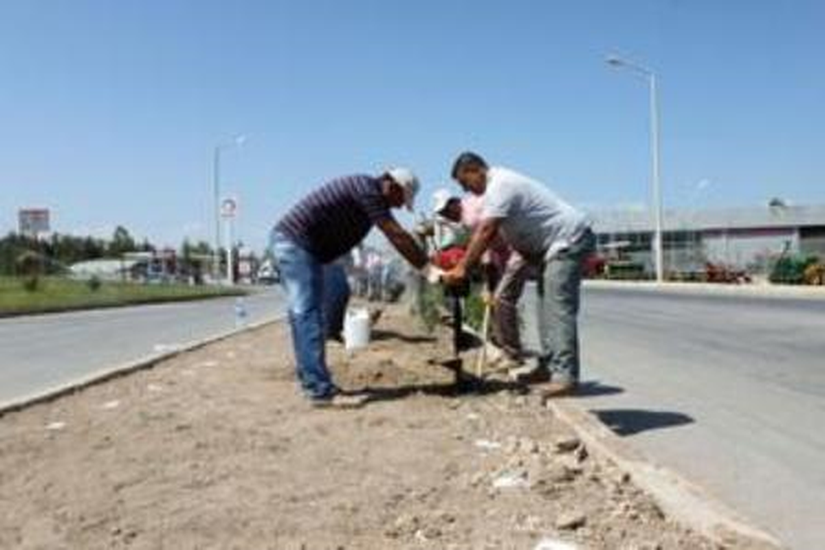 Cezaevi Caddesi Renkleniyor
