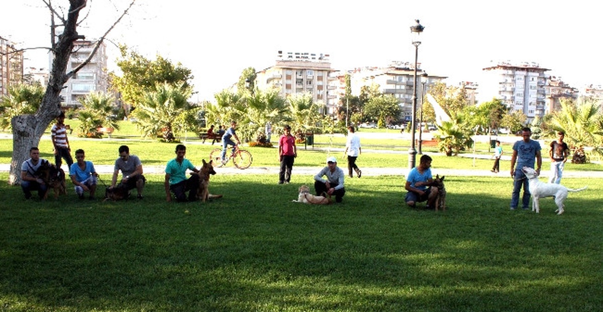 Eğitimli Köpeklerin Gösterisi Büyük Beğeni Kazandı