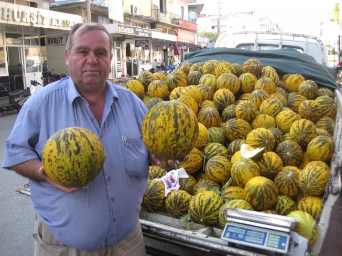 "Kavunun Hasını Tanırım"