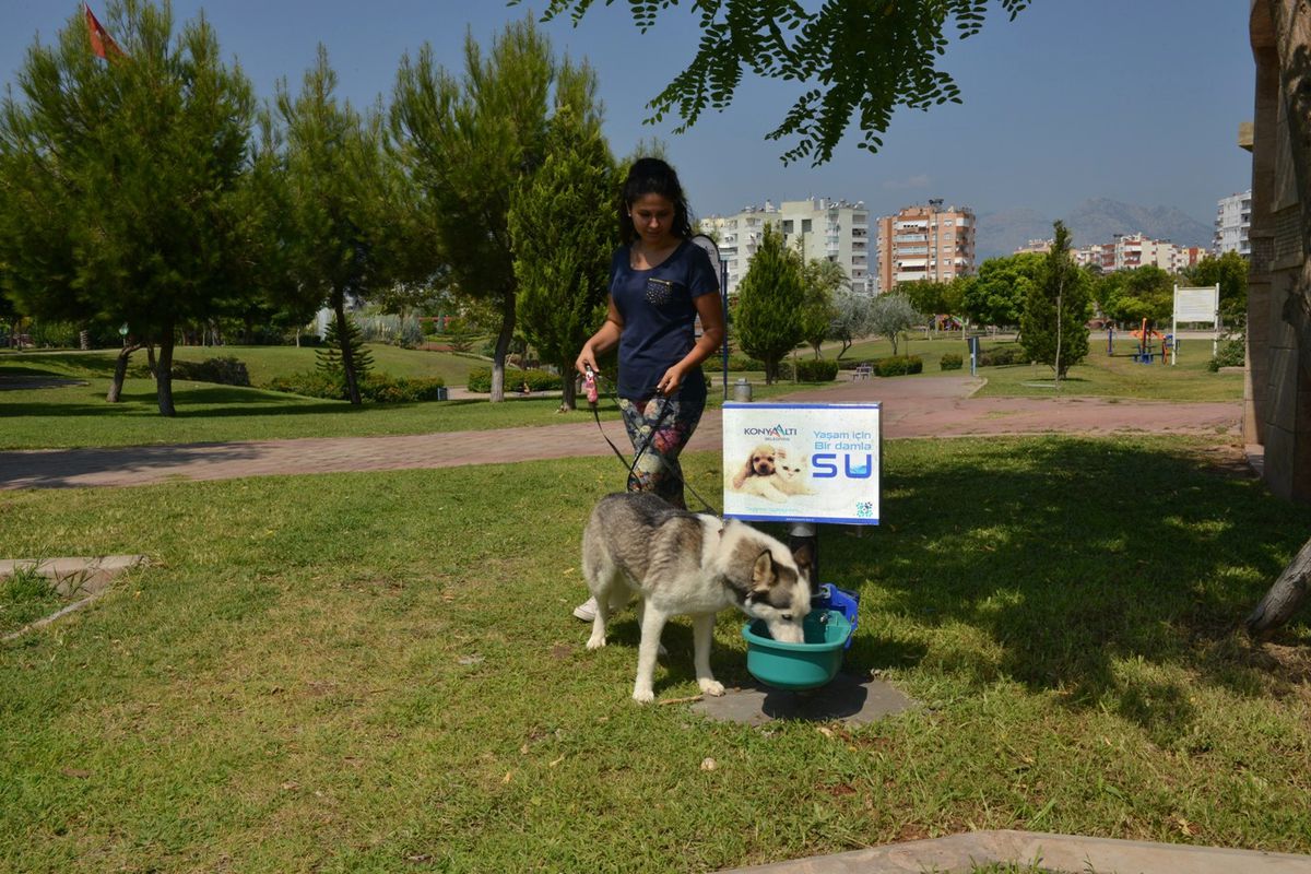 Sevimli Dostlara Yaşam İçin Bir Damla Su