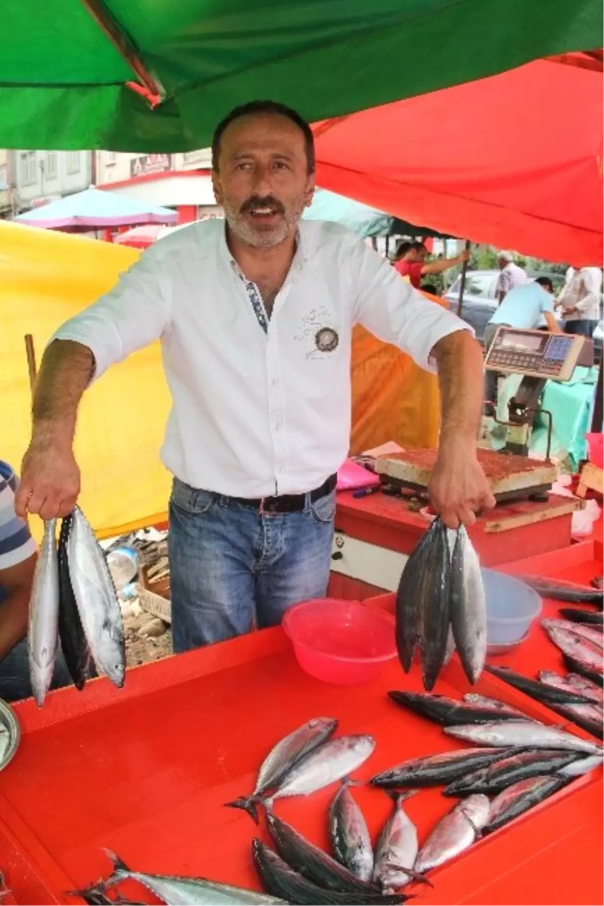 Sezonun İlk Balığı Tezgahlarda