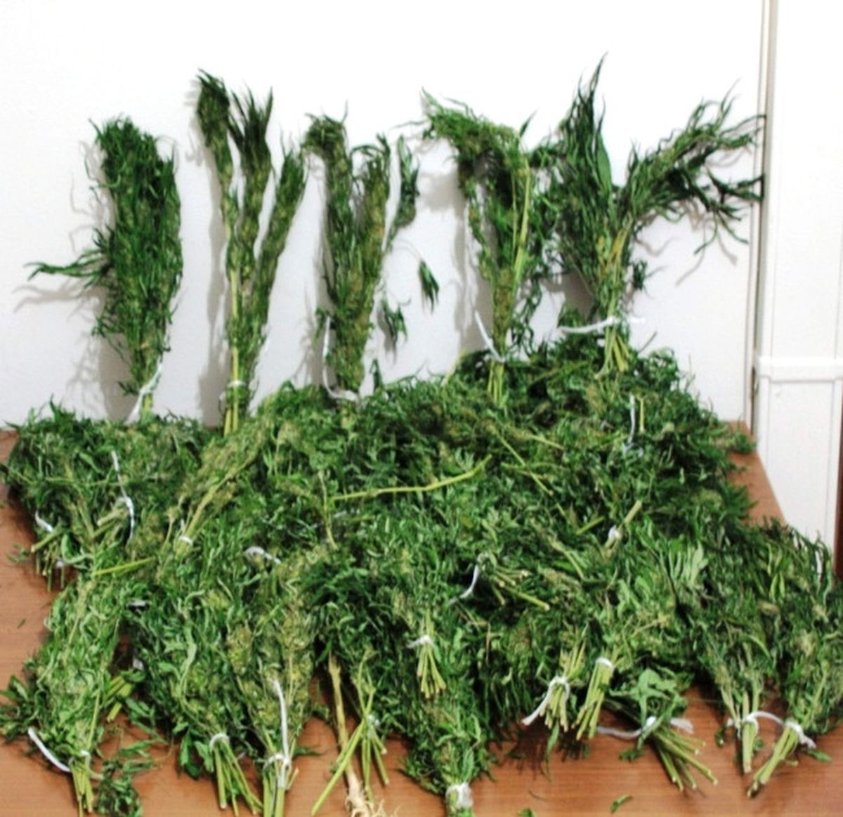 1.2 Kilogram Esrar Maddesi ile Yakalanan Zanlı Cezaevine Gönderildi