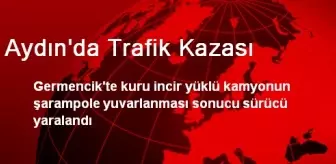 Aydın'da Trafik Kazası