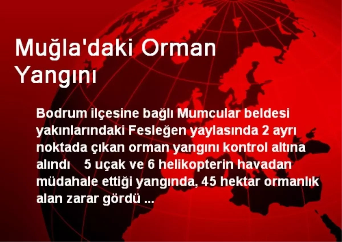 Muğla\'daki Orman Yangını