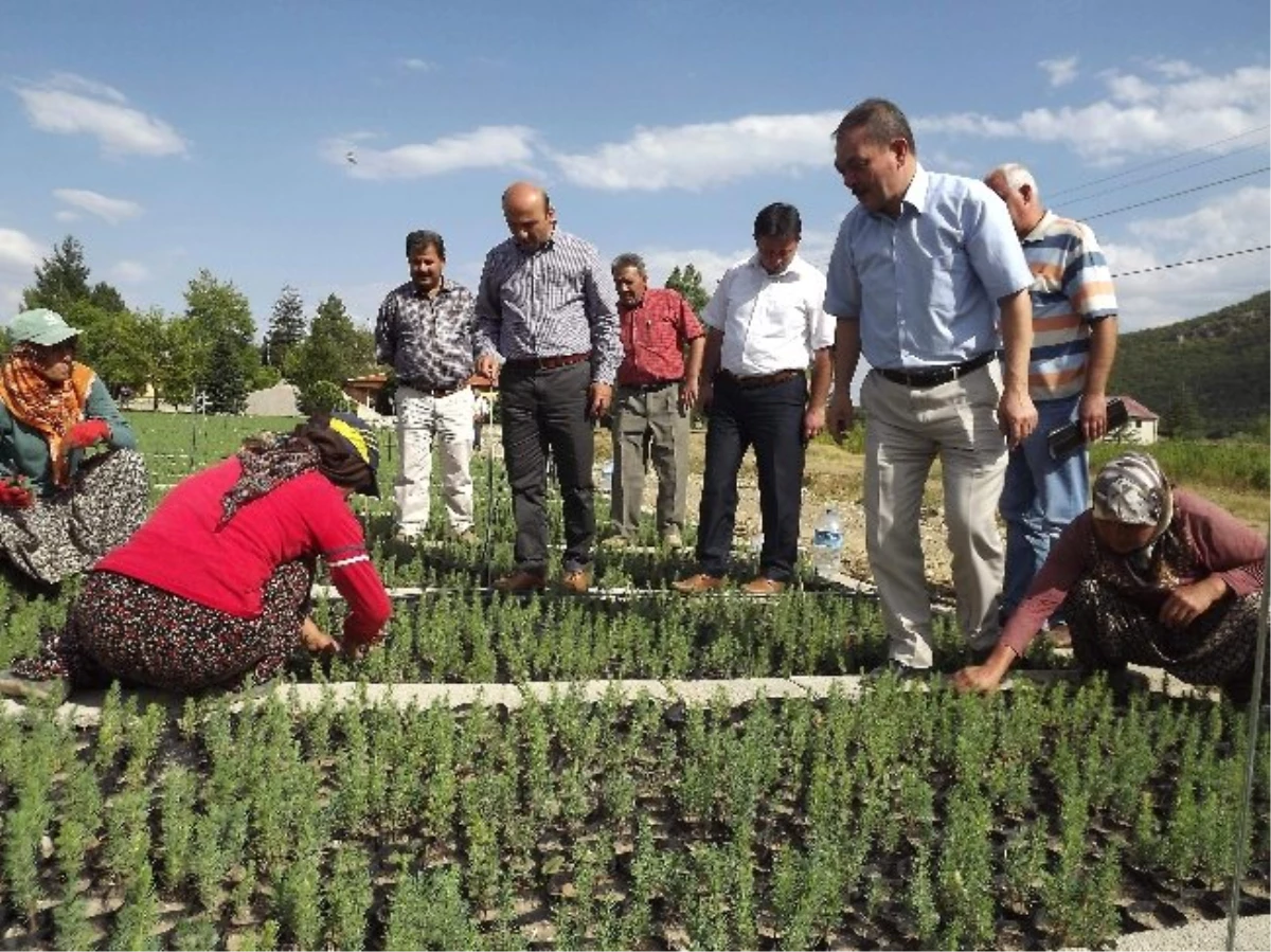 Seydişehir\'de Mera ve Bozuk Ormanlar Vatandaşın Hizmetine Sunulacak