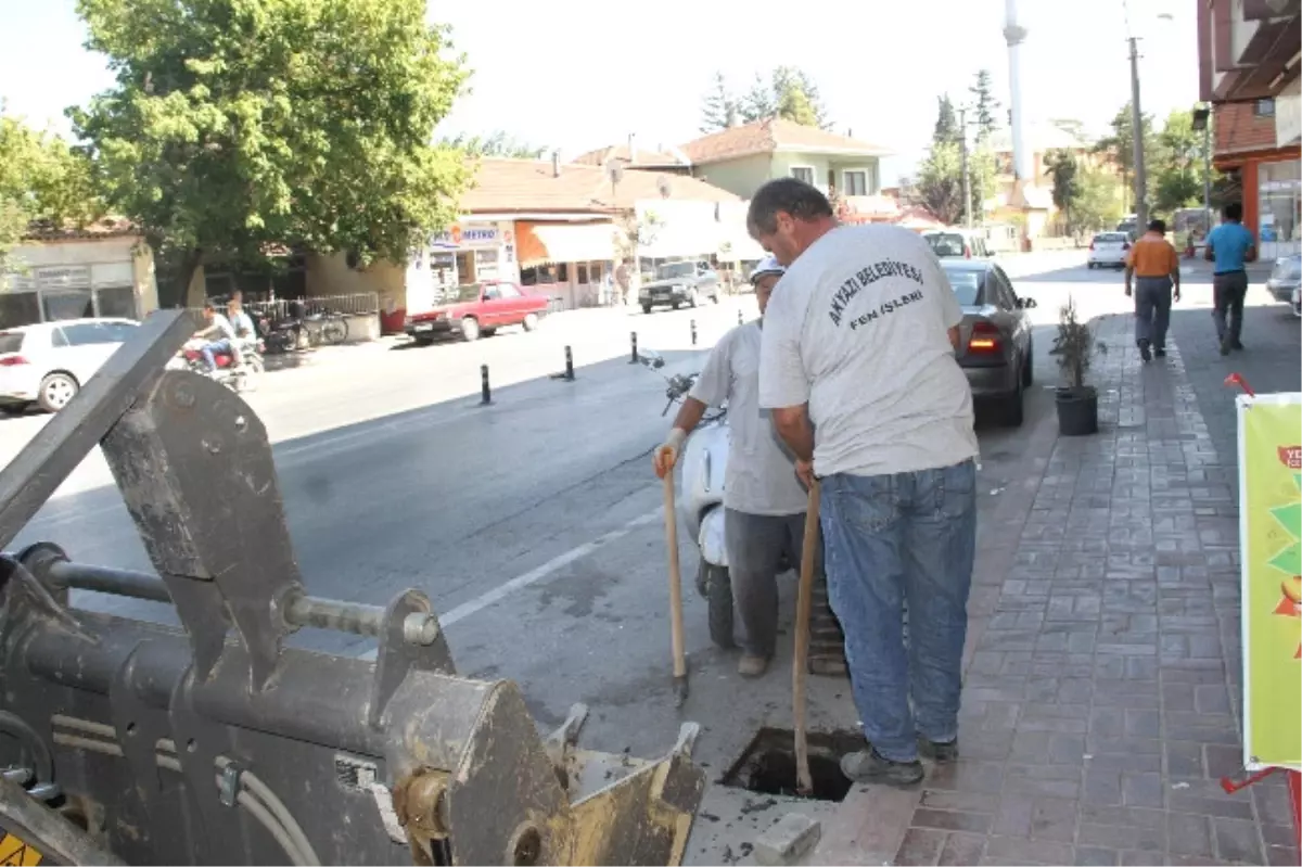 Akyazı Belediyesinin Sonbahar Hazırlık Çalışmaları Başladı