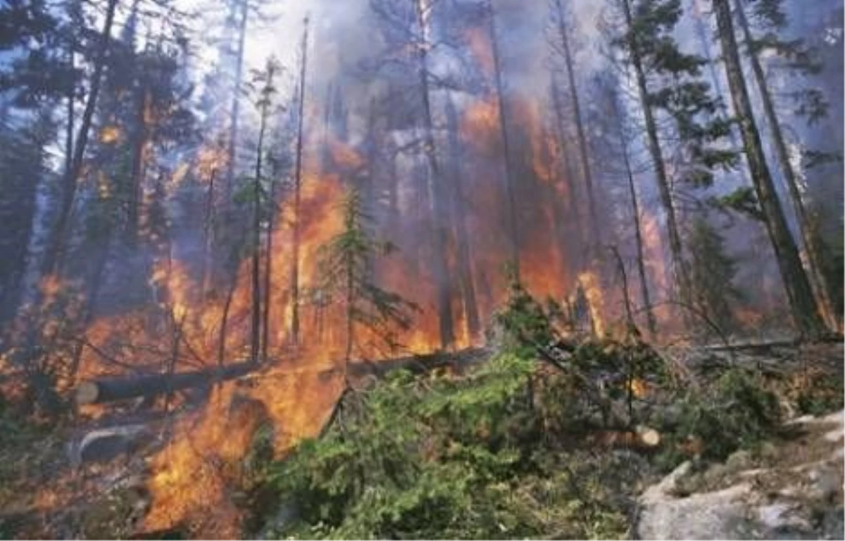 Antalya\'daki Orman Yangını
