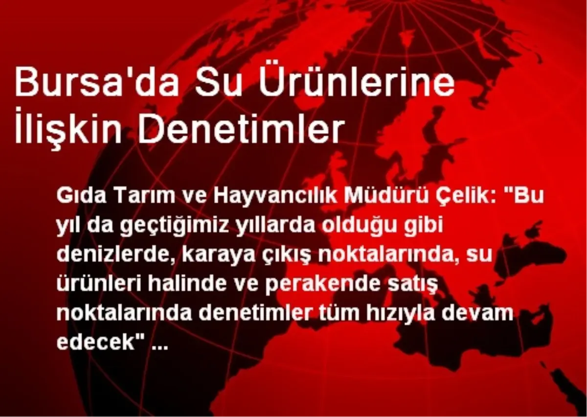 Bursa\'da Su Ürünlerine İlişkin Denetimler