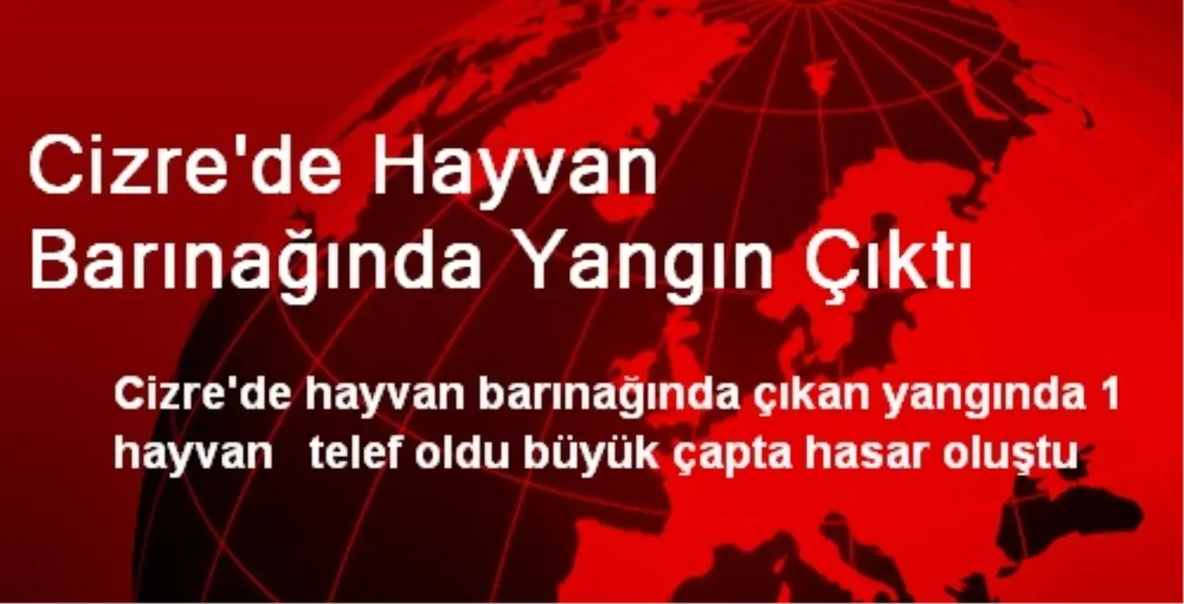 Cizre\'de Hayvan Barınağında Yangın Çıktı