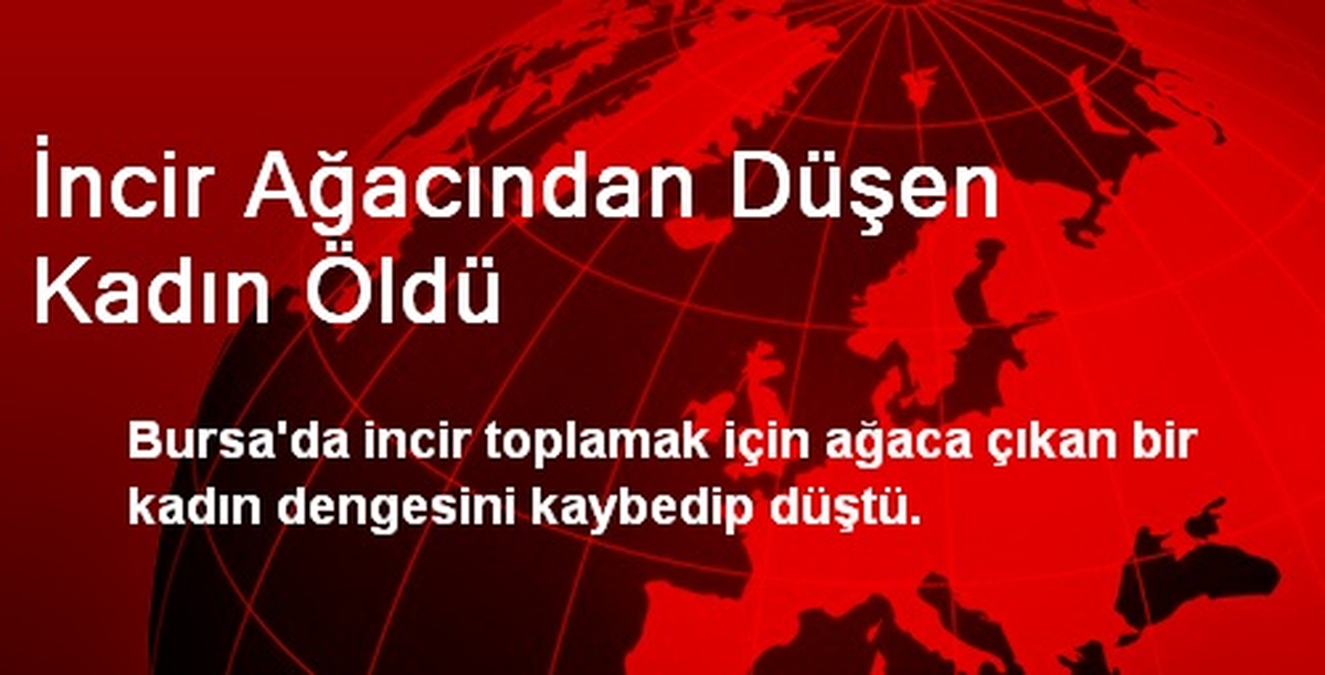 İncir Ağacından Düşen Kadın Öldü